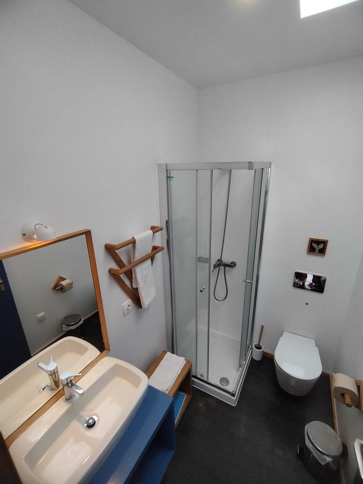 Een moderne badkamer met een glazen douchecabine, een wastafel met spiegel en een toilet.