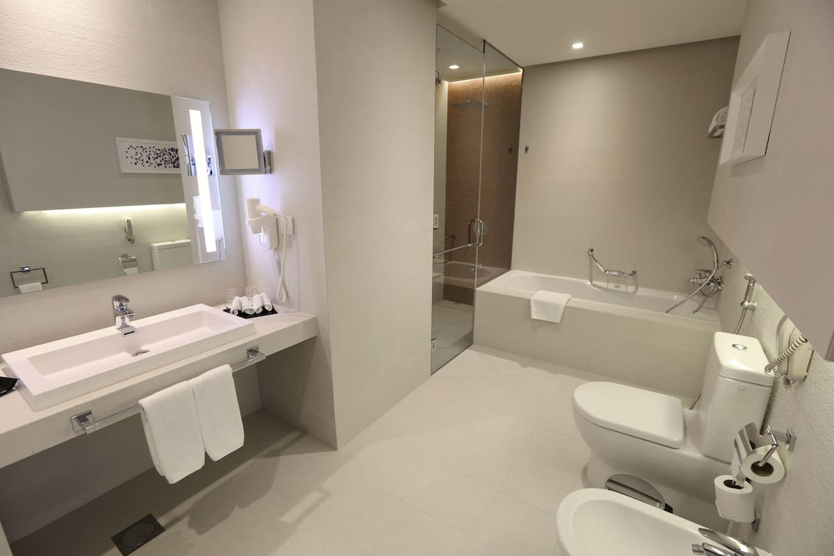 combined shower/bathtub, free toiletries, hair dryer, bathrobes