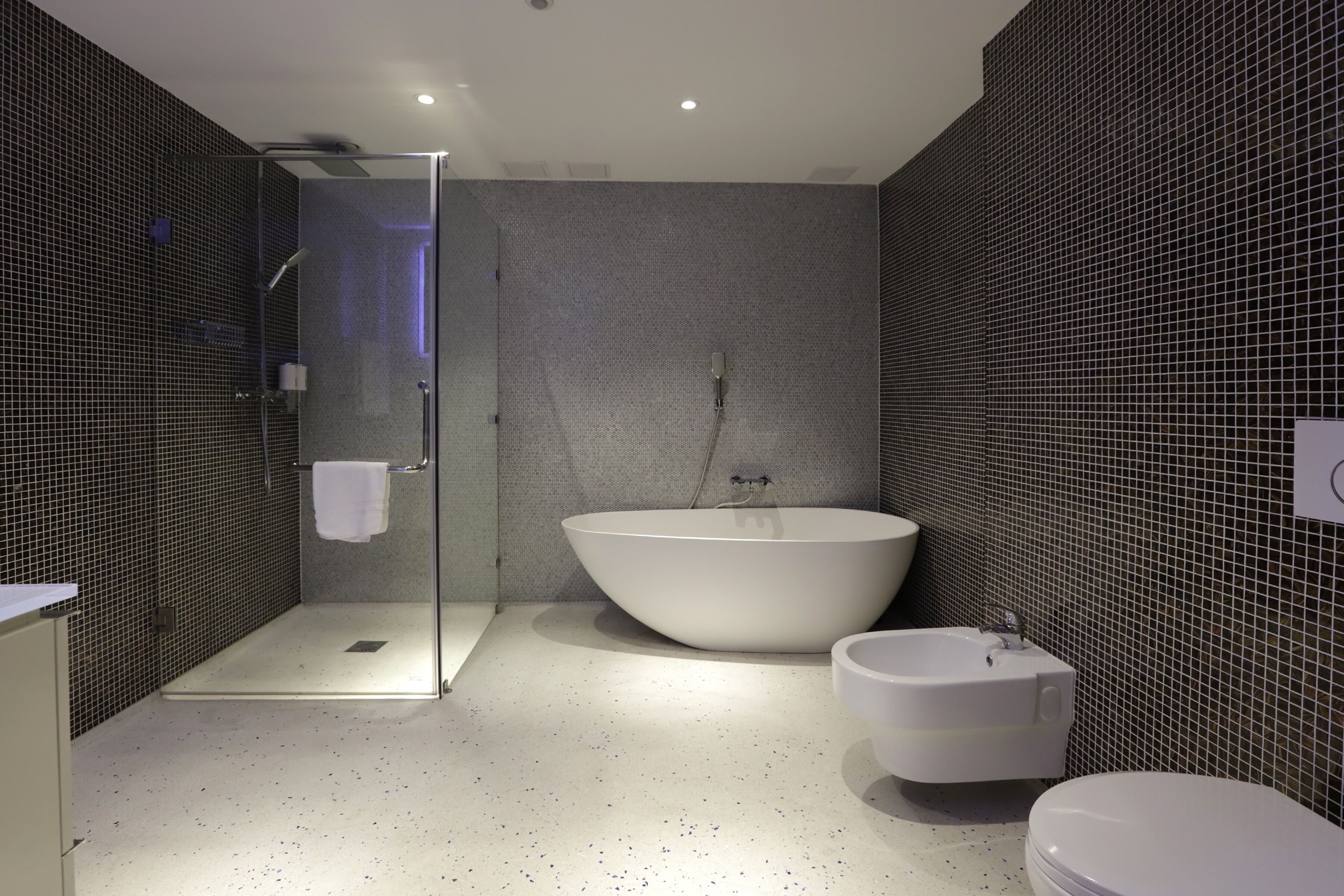 A modern bathroom with a glass shower enclosure, a freestanding bathtub, and a toilet.