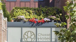 The entrance of Chassé Hotel with a modern facade, glass doors, and two lion statues on either side.