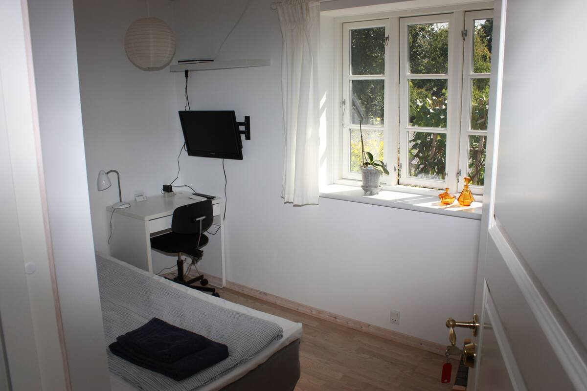 A bedroom with a bed, a desk, a chair, a TV, a window with curtains, and a plant.