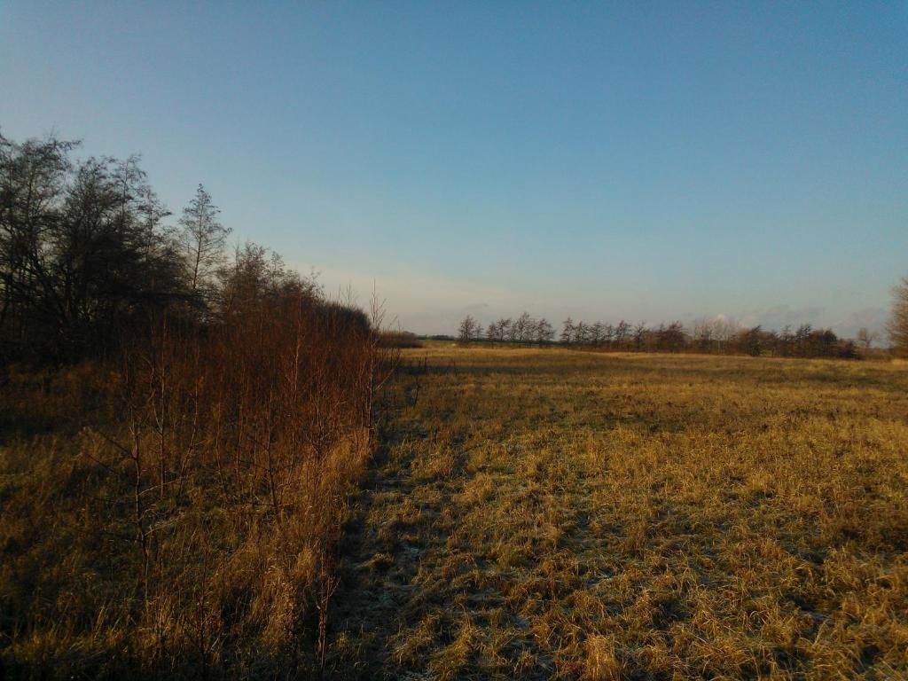 Khác