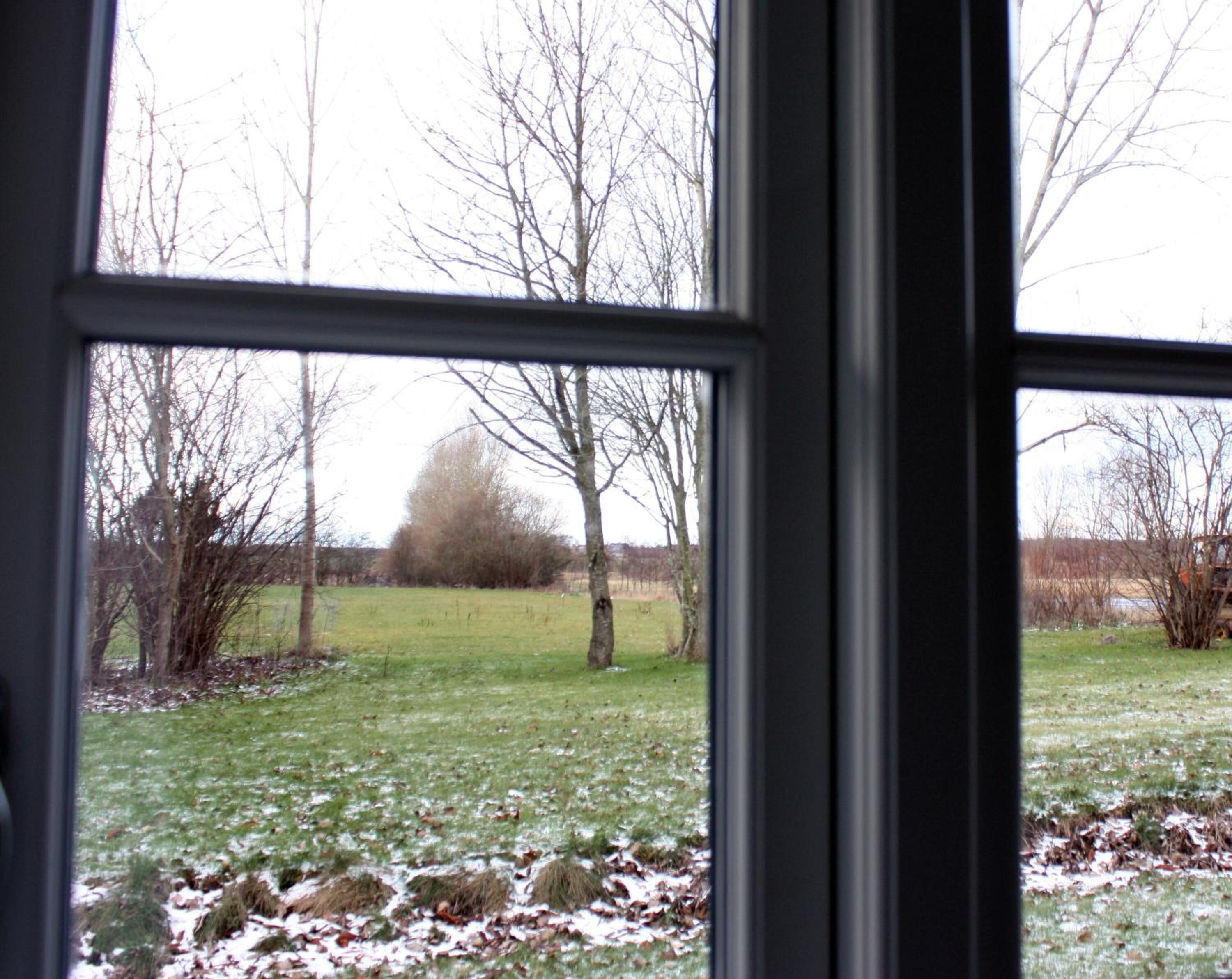 A view through a window with a grassy field, trees, and a distant building.