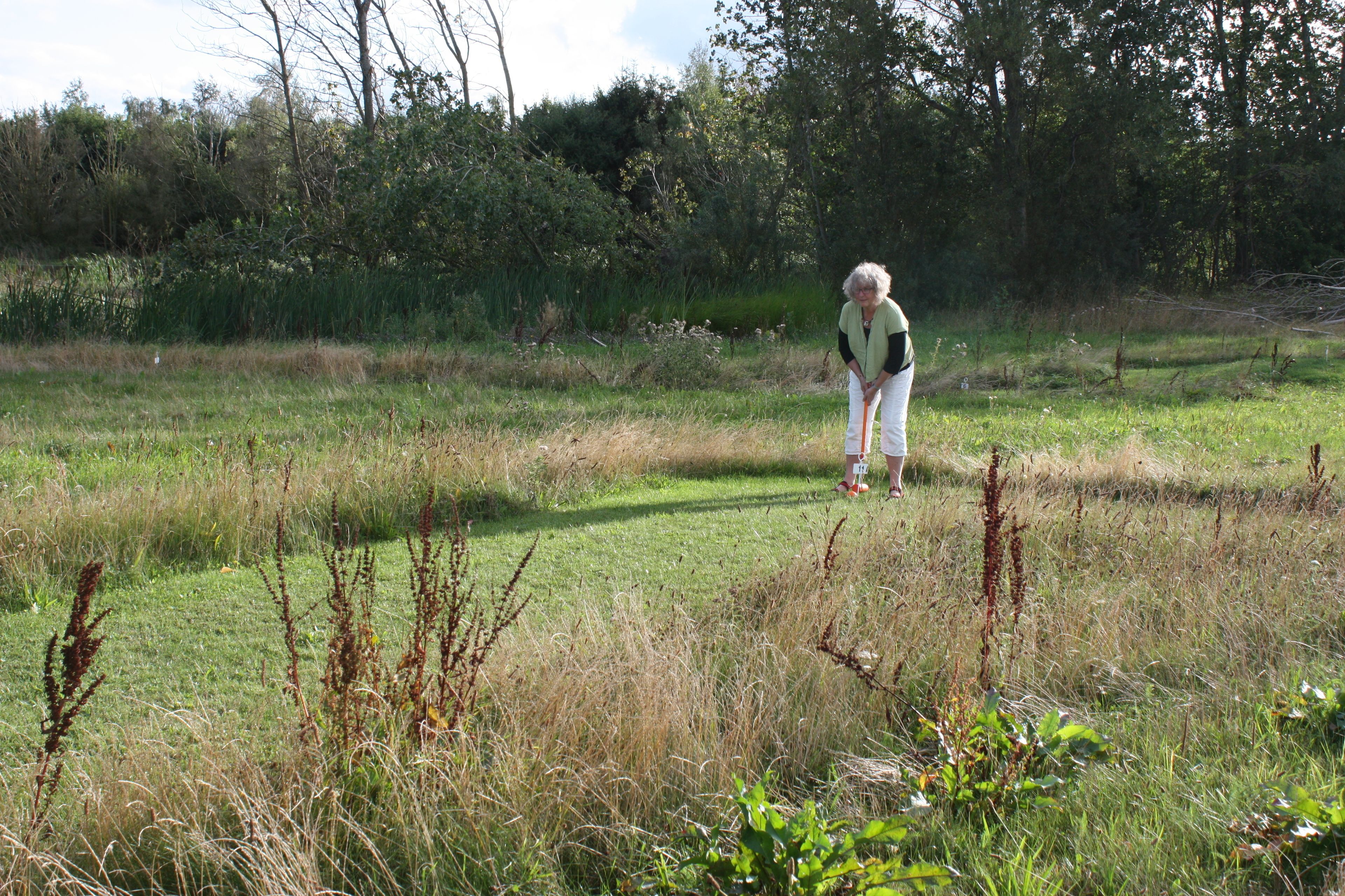 Una persona caminando en un campo con árboles al fondo.