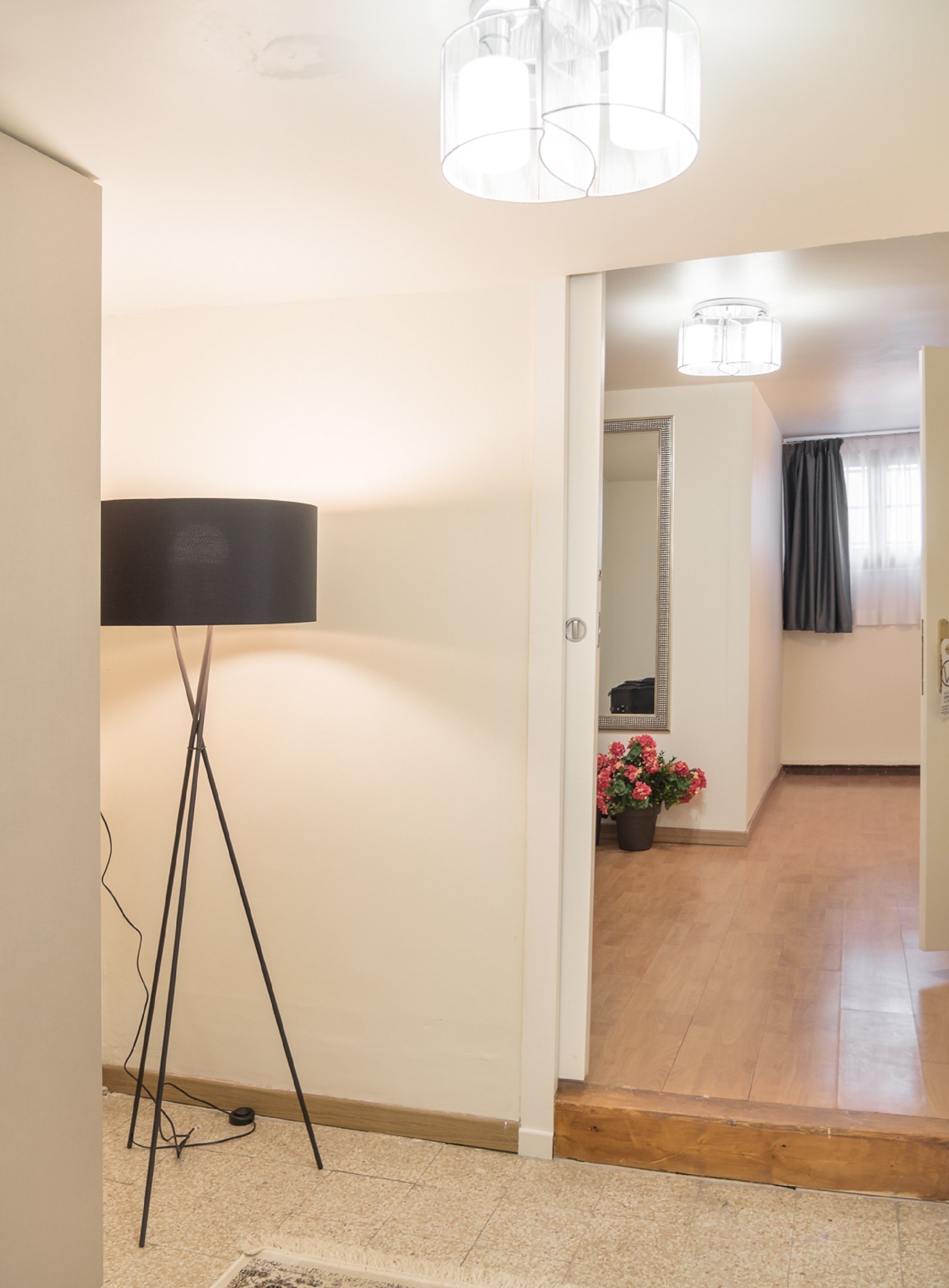 A hallway with a floor lamp, a potted plant, and a mirror on the wall.