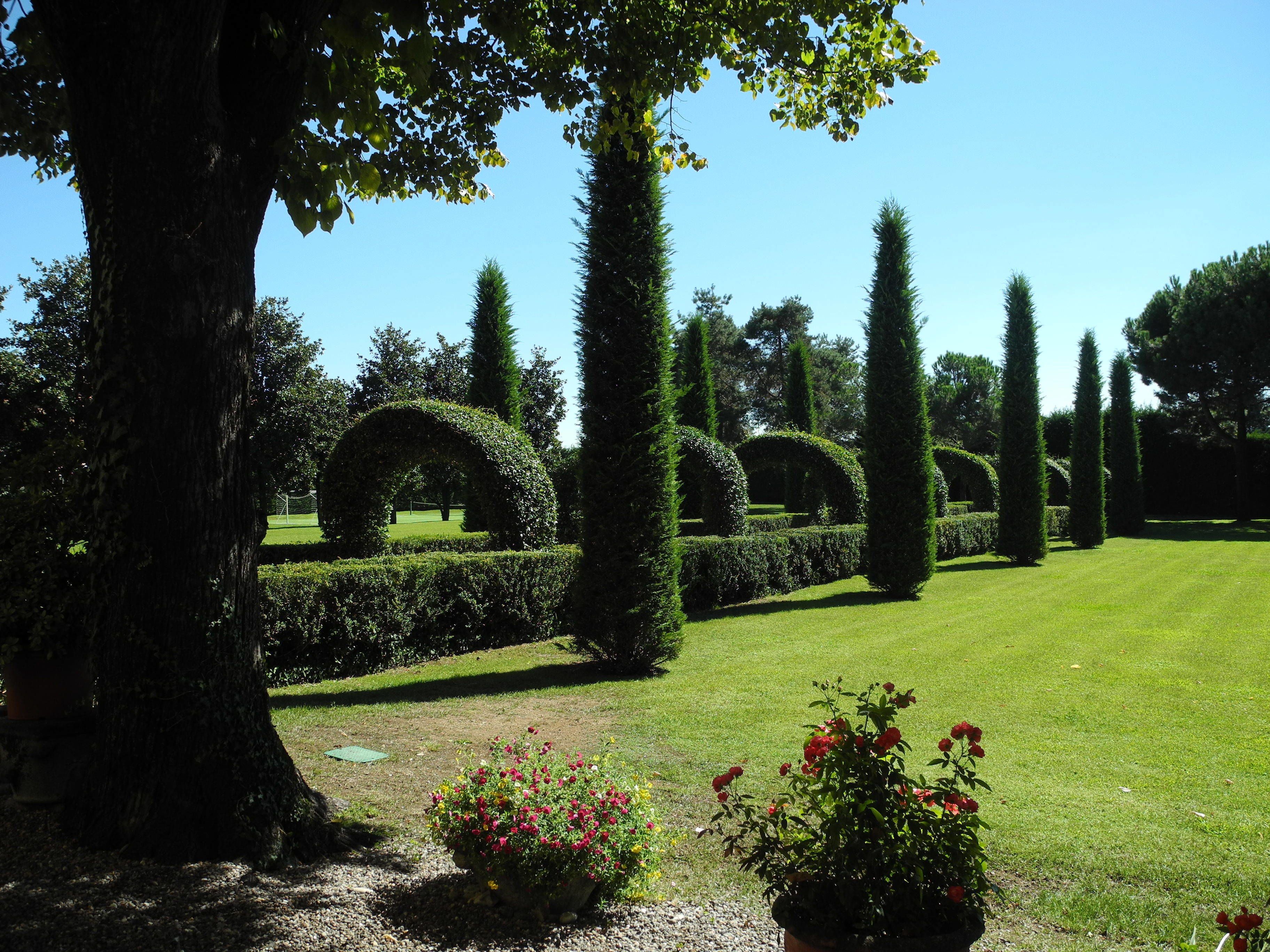 A well-maintained garden with neatly trimmed hedges and tall trees.