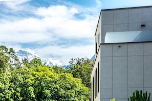 Front of property - Apartment Rugenpark 2 (Interlaken)