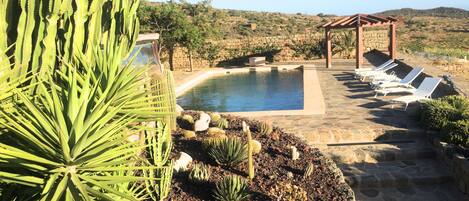 Outdoor pool, pool umbrellas, sun loungers