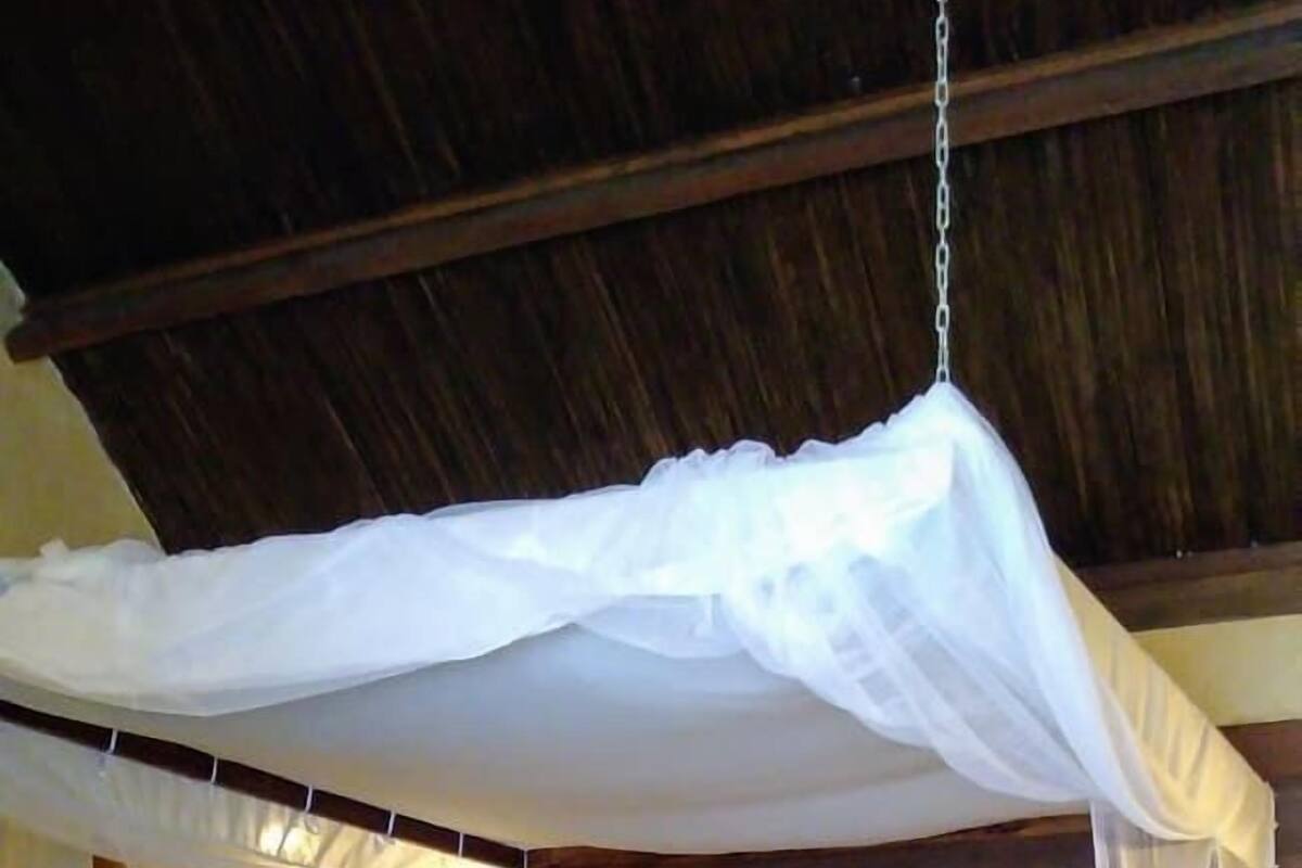 Ein Bett mit Baldachin, einem hölzernen Kopfteil und einer roten Bettdecke.