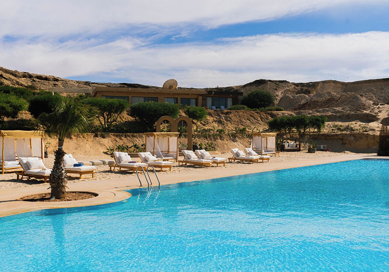 A swimming pool with lounge chairs and a palm tree.