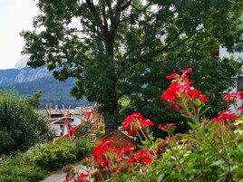 A mountainous landscape with a large tree and a small wooden building labeled "Information".