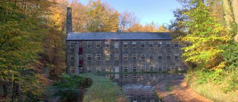 Khuôn viên nơi lưu trú