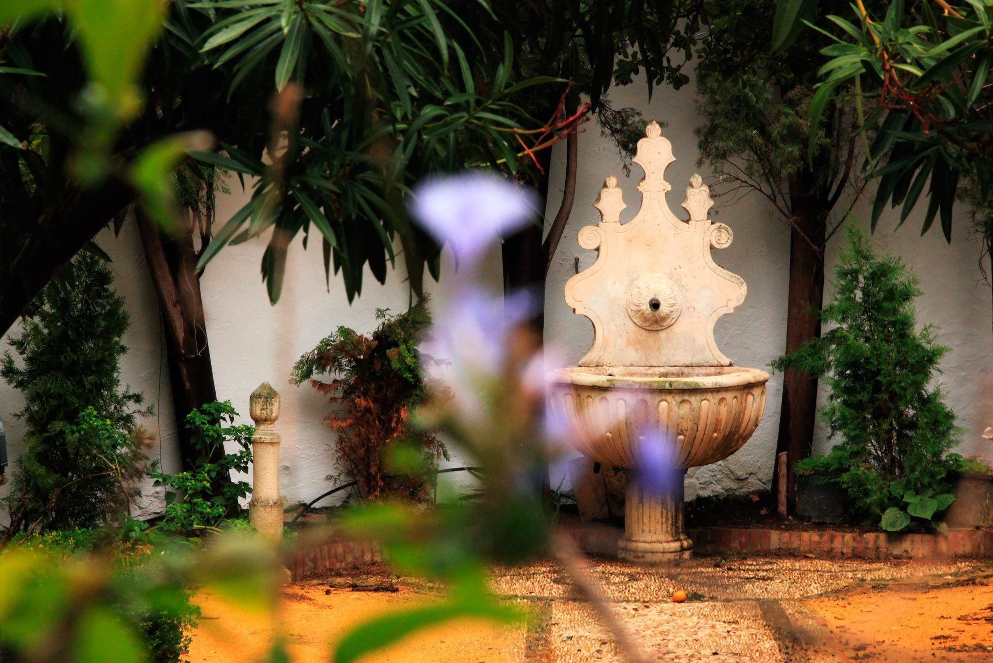 Jardí amb una font de pedra al centre, envoltat d'una varietat de plantes i arbres.