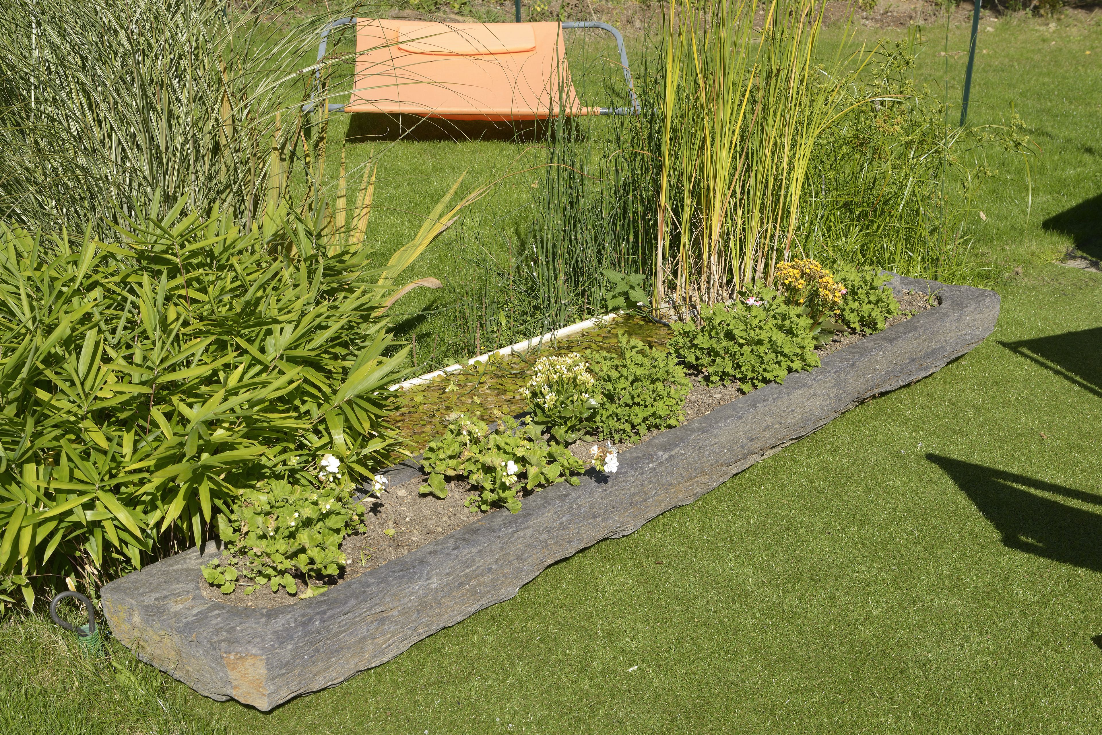 A garden bed with various plants and a wooden border.