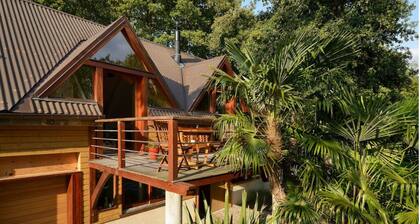 Le Loft â Espace moderne & chaleureux, verdoyant