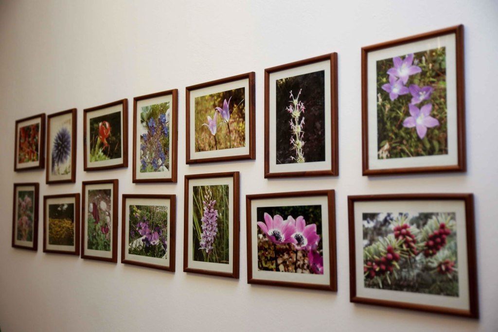 Photo - Anixis Hotel