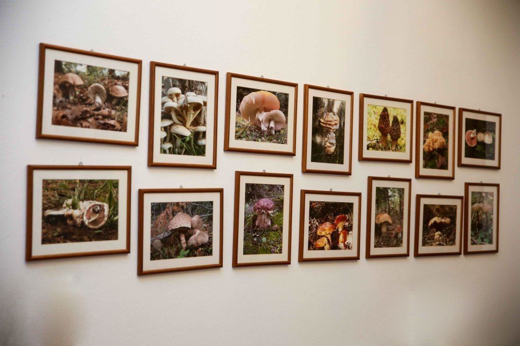 Photo - Anixis Hotel