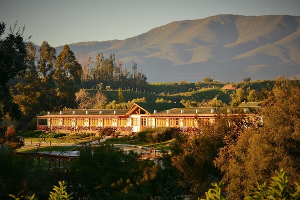 Property grounds - Hacienda Santa Cristina (Ovalle)