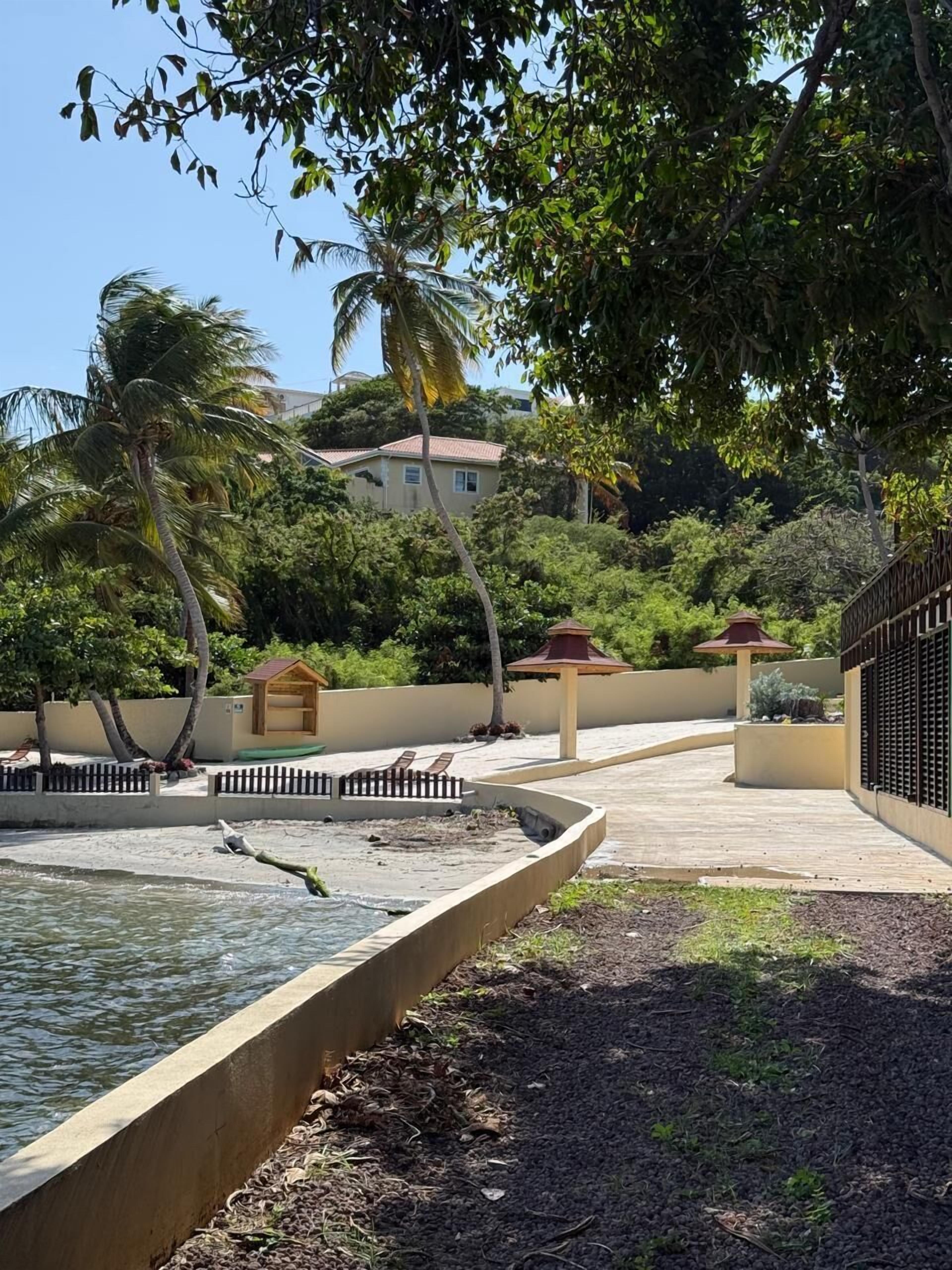 A landscaped area with a water feature, palm trees, and a building in the background.