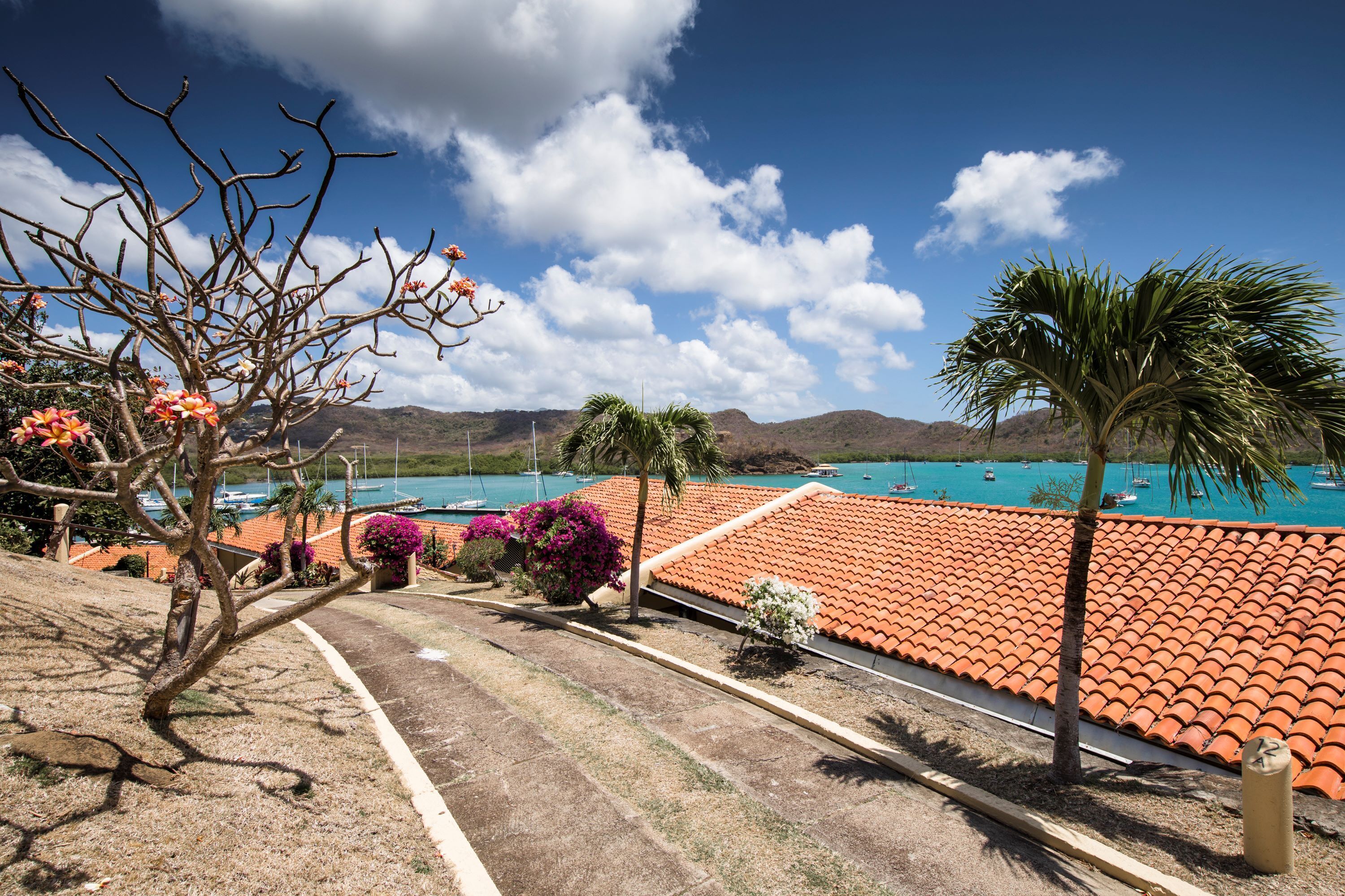 Un hotel frente al mar con techos de tejas color terracota, una palmera y vistas a barcos.