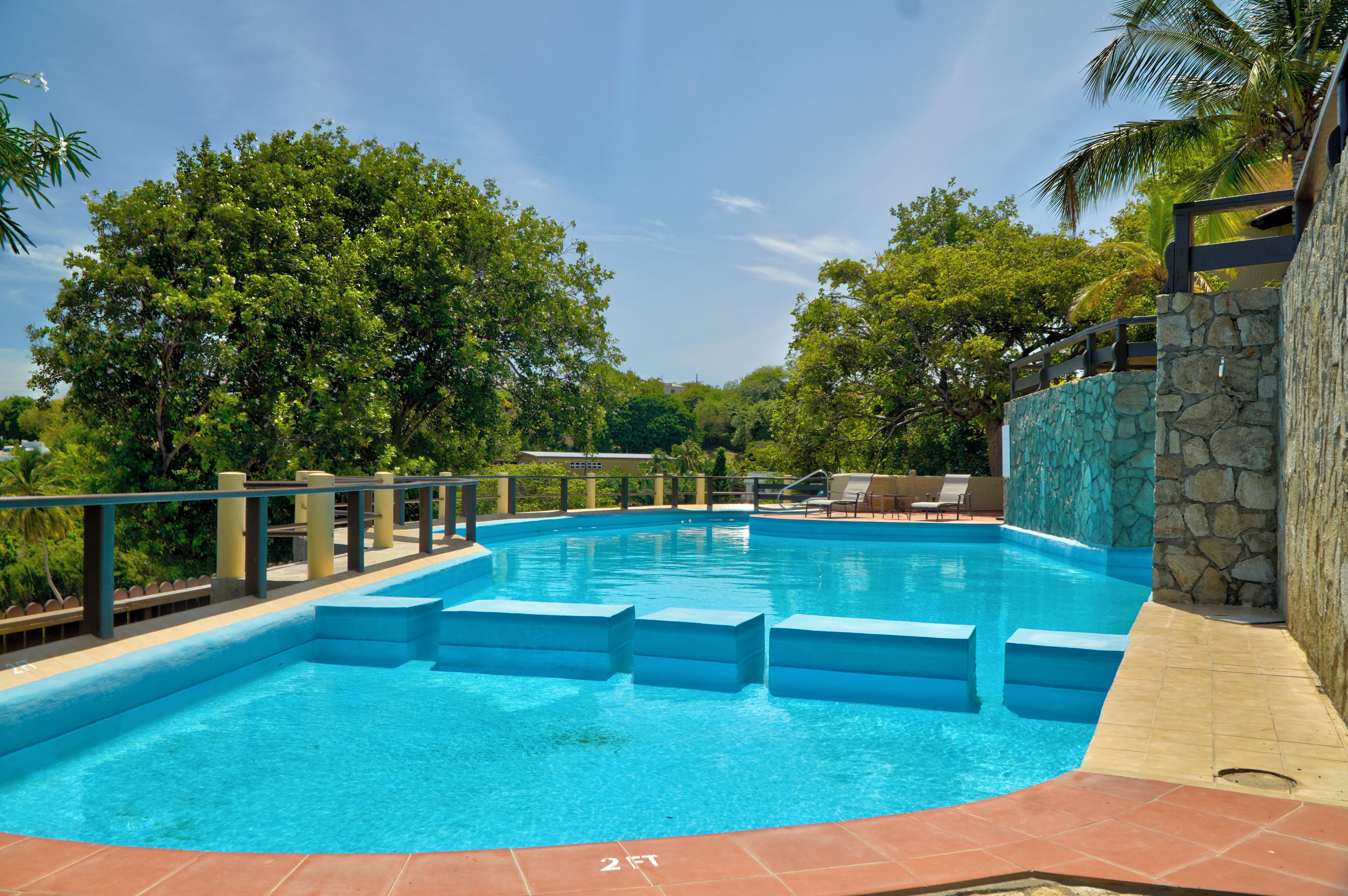 A clear blue swimming pool with steps leading into it, surrounded by lush greenery and a stone wall.