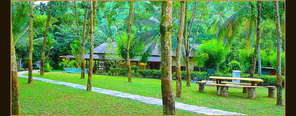 Area per barbecue/picnic