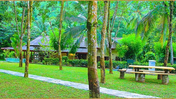 Um jardim exuberante com um caminho, bancos de madeira e um edifício tradicional.