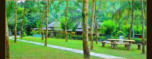 A lush garden with a pathway, wooden benches, and a traditional building. - Graten Tea Garden Holiday Bungalow (Ingiriya)