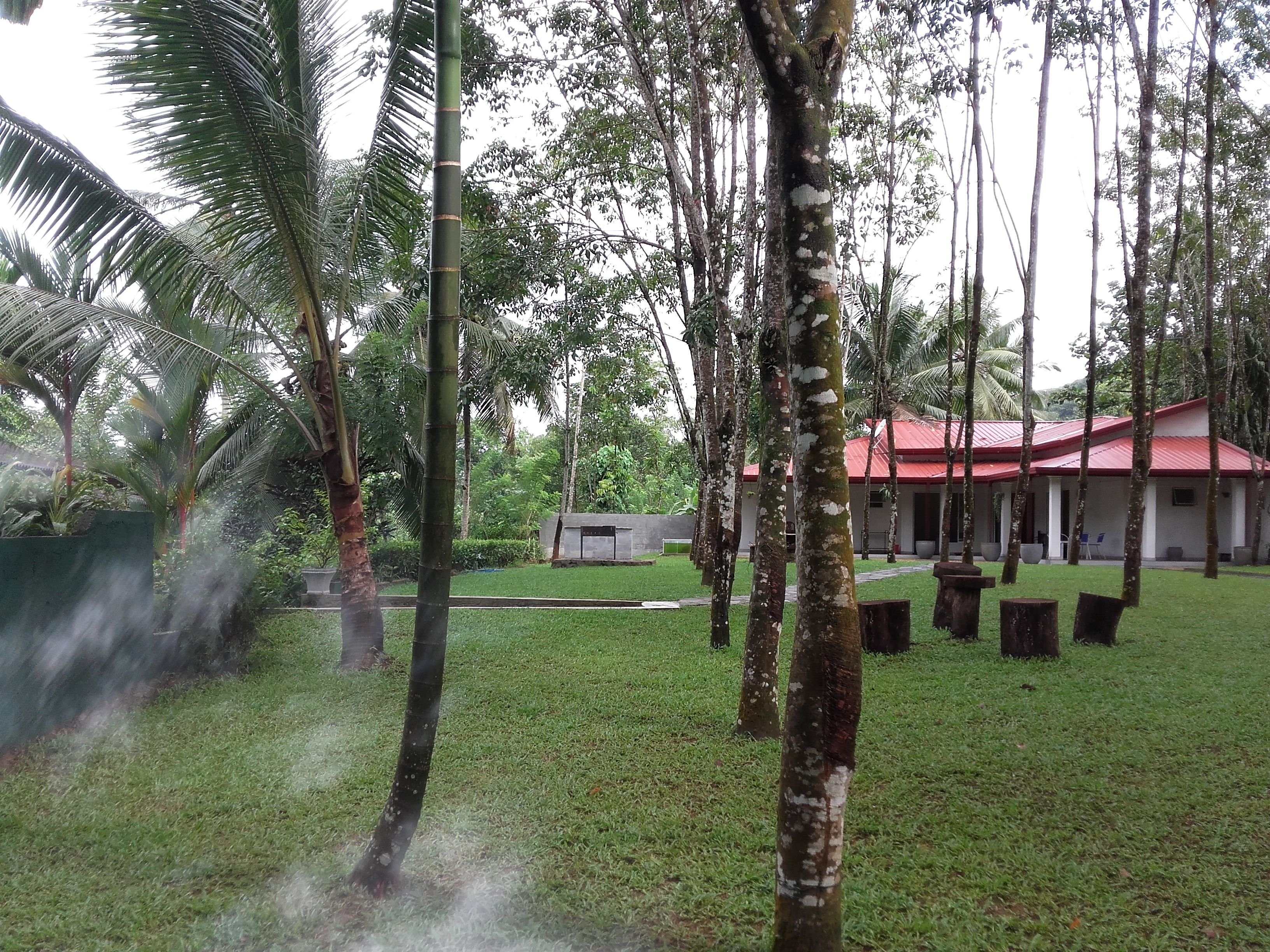 Parco della struttura