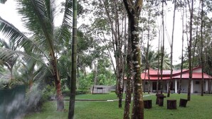 Um jardim exuberante com árvores altas e um edifício com telhado vermelho.