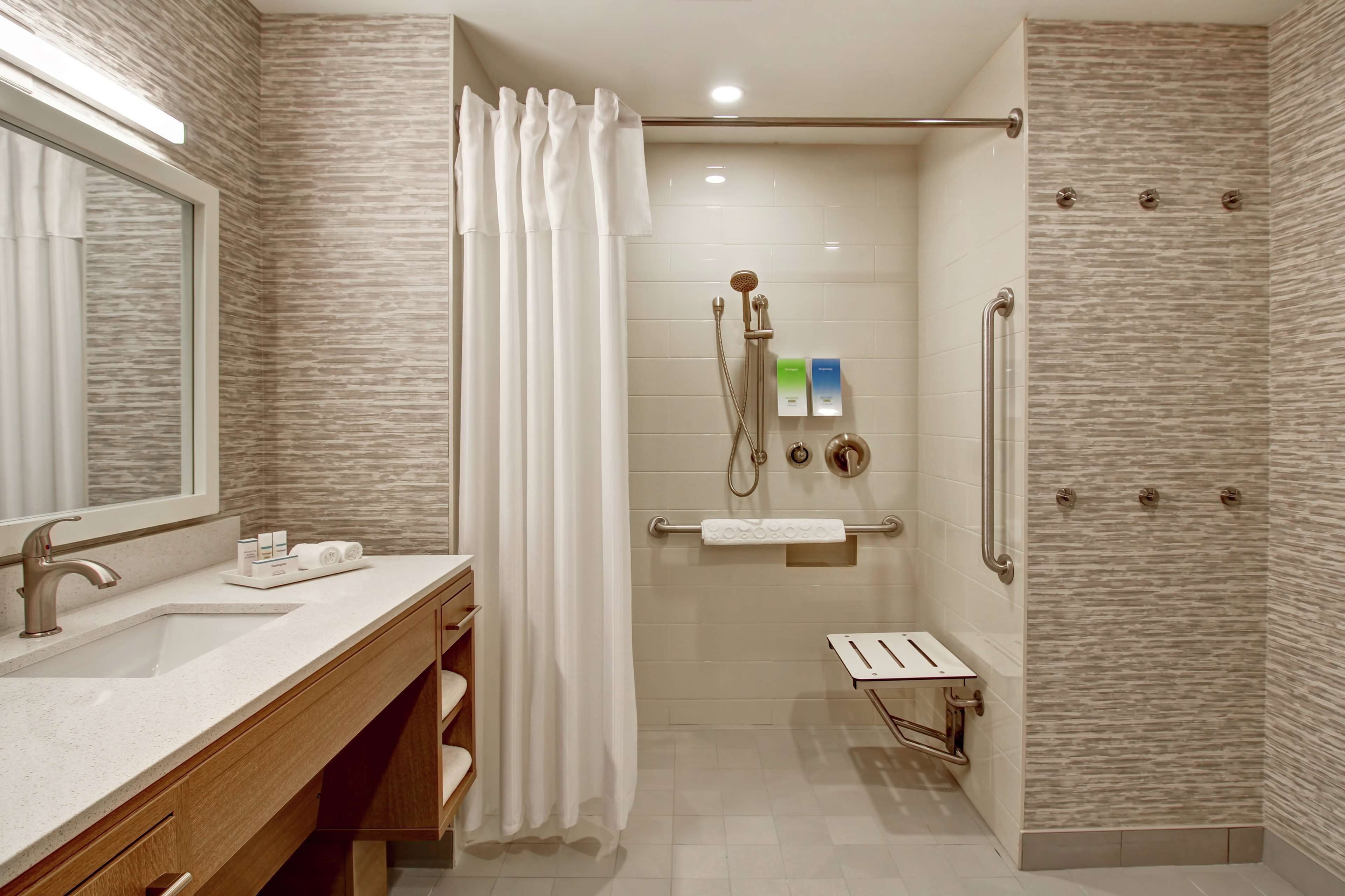 studio, 1 queen bed, non-smoking, accessible (mobility & hearing, roll-in shower)  | bathroom shower