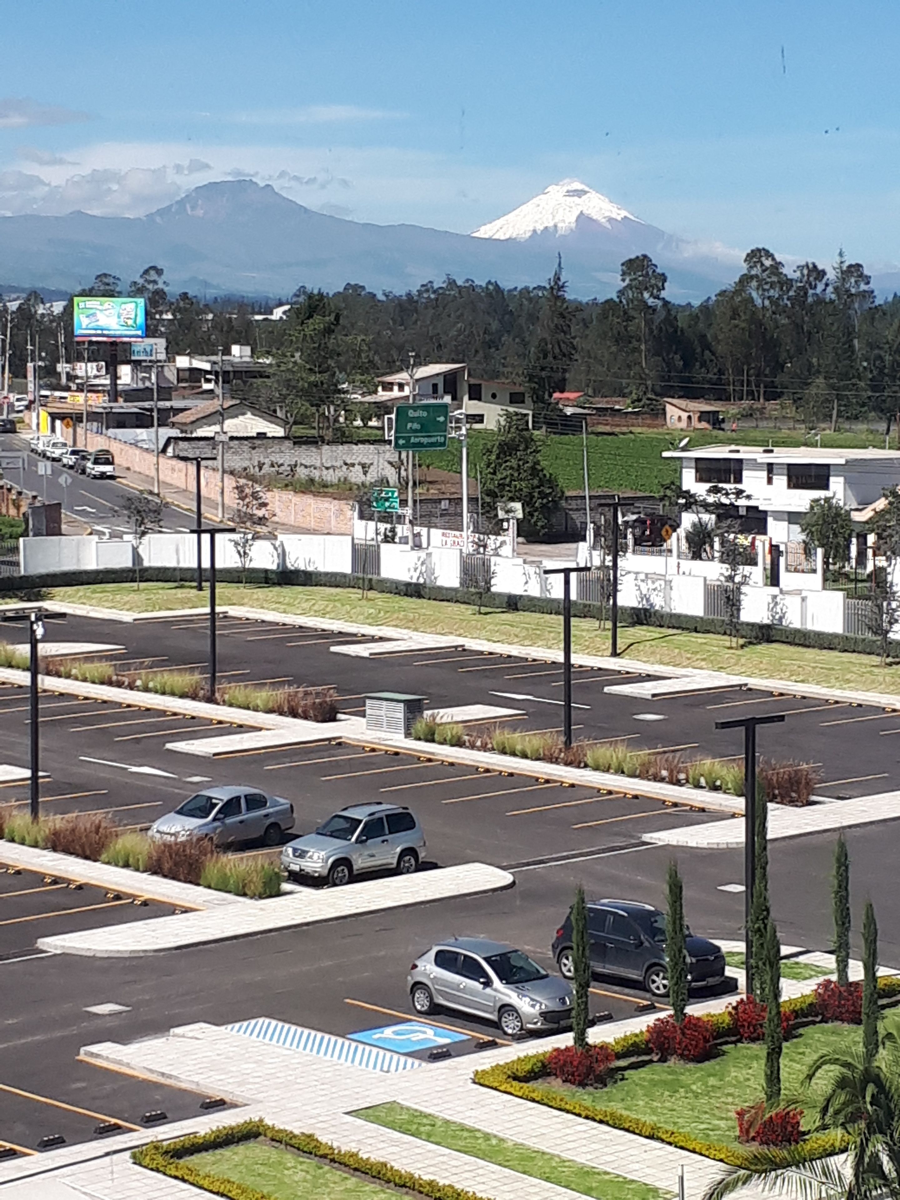 business suite, 1 king bed | view from room