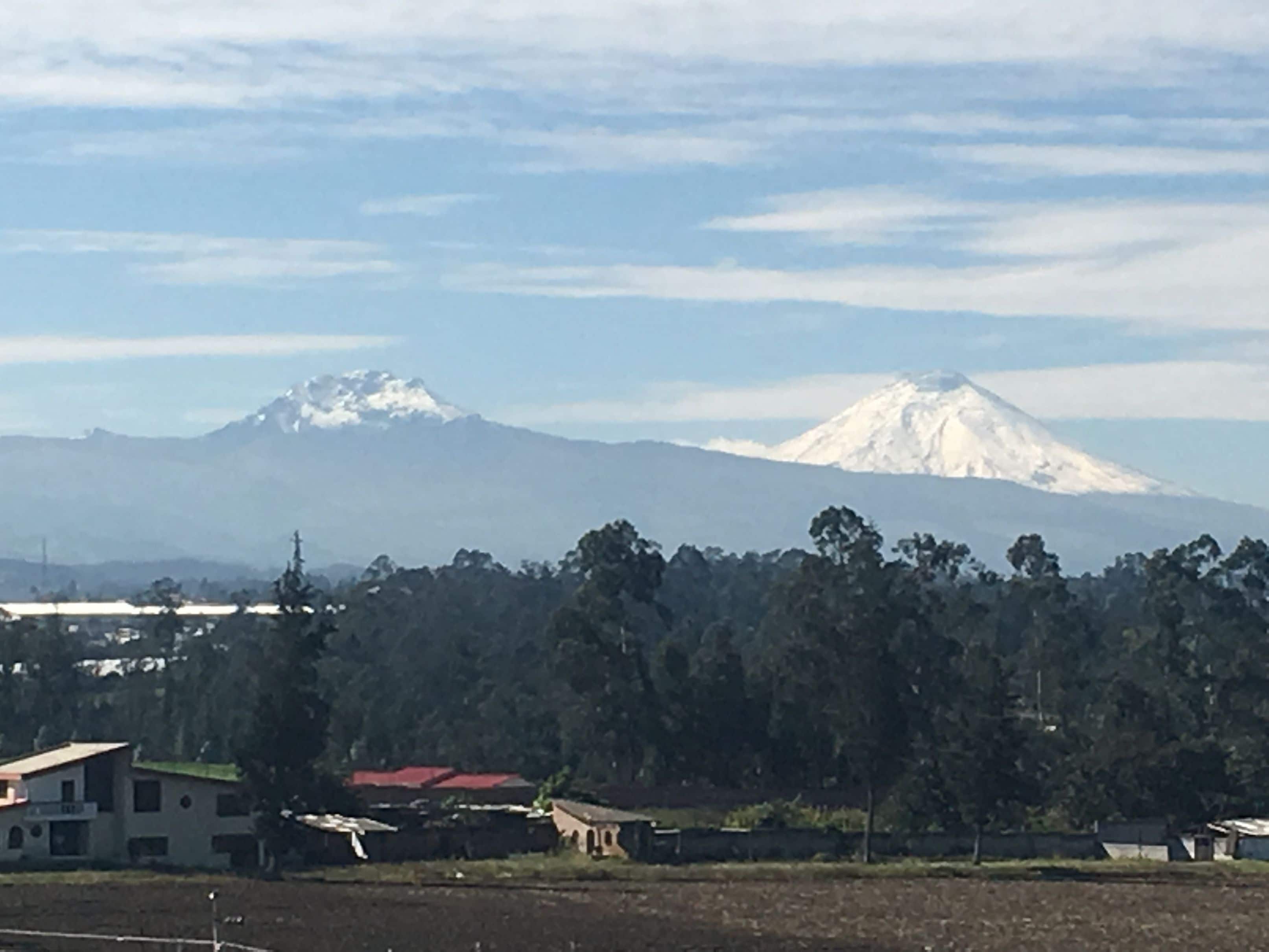 Una montaña con cumbre nevada, una zona boscosa con edificios y un cielo despejado.