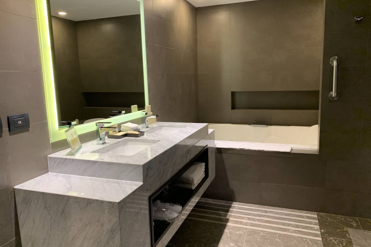 presidential studio suite, accessible, mountain view | bathroom | shower, free toiletries, hair dryer, towels