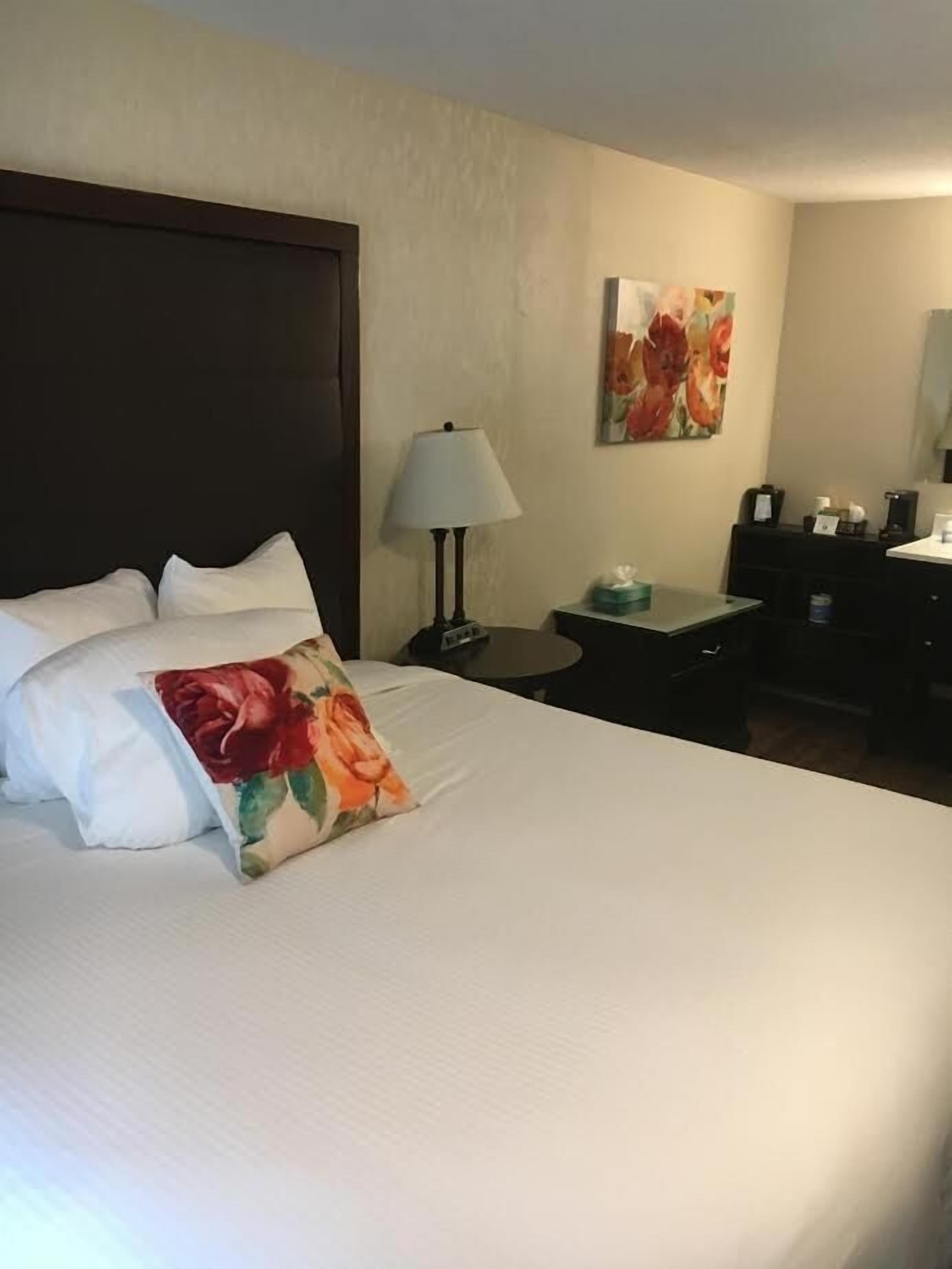 Quarto de hotel com uma cama grande, mesa de cabeceira com abajur, escrivaninha e uma cadeira.