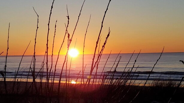 A sunset over a beach with tall grasses in the foreground. - The Waldport Inn (Waldport)