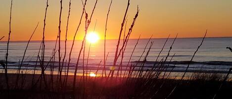 Playa en los alrededores