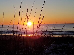 A sunset over a beach with tall grasses in the foreground. - The Waldport Inn (Waldport)
