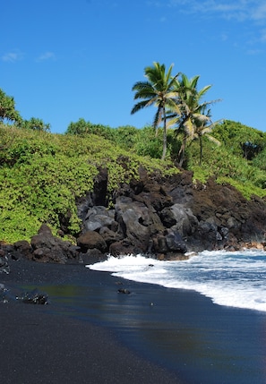A beach with dark volcanic sand, waves crashing onto the shore, and lush greenery including palm trees. - Ocean Views - Best Location! Across Street from Beach/Rooftop deck! (Kihei)