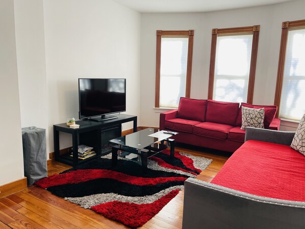 Televisión, chimenea y libros 