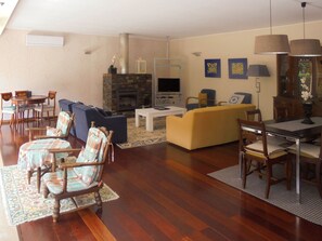 Televisión, chimenea, libros
