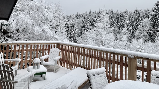 A wooden deck with snow-covered chairs and a table, overlooking a forest of snow-laden trees. - Dream cottage in the heart of nature: forest, river, cabin atmosphere & wood stove (Xonrupt-Longemer)
