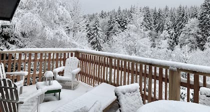 Chalet de rĂȘve en pleine nature : forĂȘt, riviĂšre, ambiance cabane & poĂȘle Ă bois
