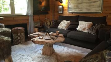 Smart TV, chimenea, reproductor de DVD, videoteca