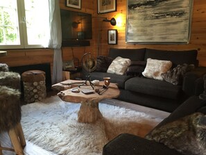 Smart-TV, Kamin, DVD-Player, Videothek