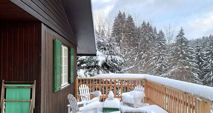Chalet de charme, cadre exceptionnel plein sud proche lac & pistes. Wifi/Hammam