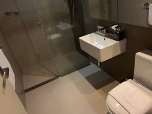 A modern bathroom with a glass shower enclosure, a white sink, and a toilet.