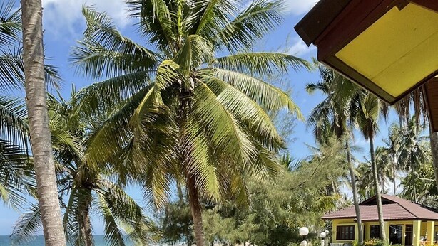 A beachside property with a lawn, palm trees, and a building with a red roof. - Malai Asia Resort (Thap Sakae)