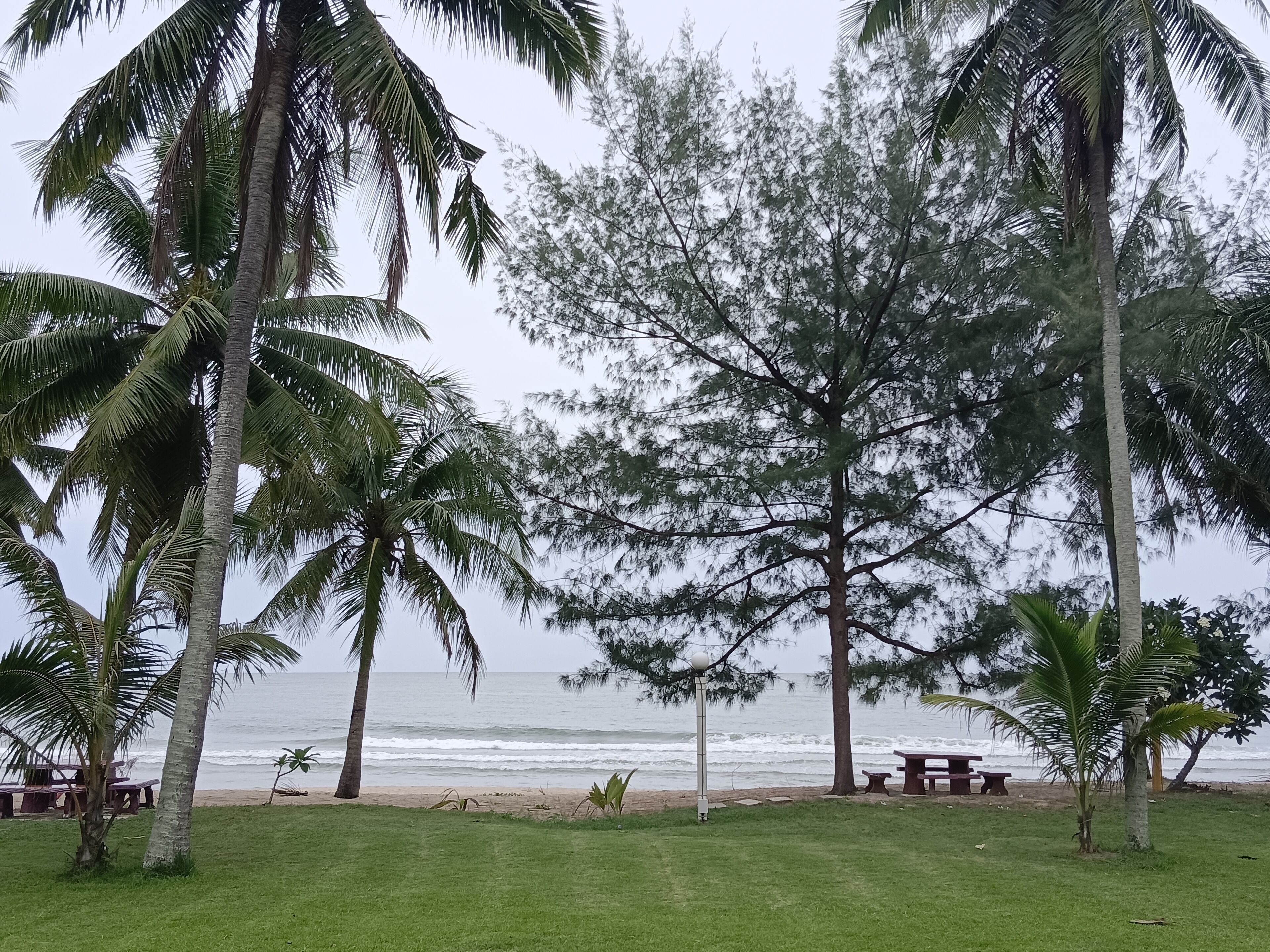 A beach with palm trees and a picnic table.
