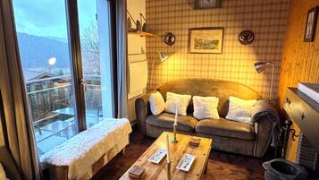 Télévision, cheminée, lecteur de DVD, vidéothÚque